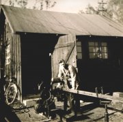 Foto-zur-Holzhütte.jpg